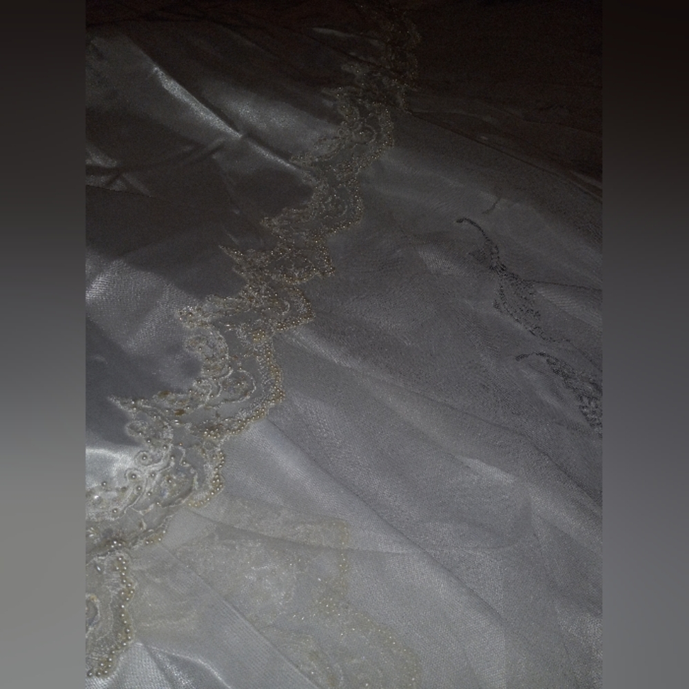 Cathedral Train - image 6